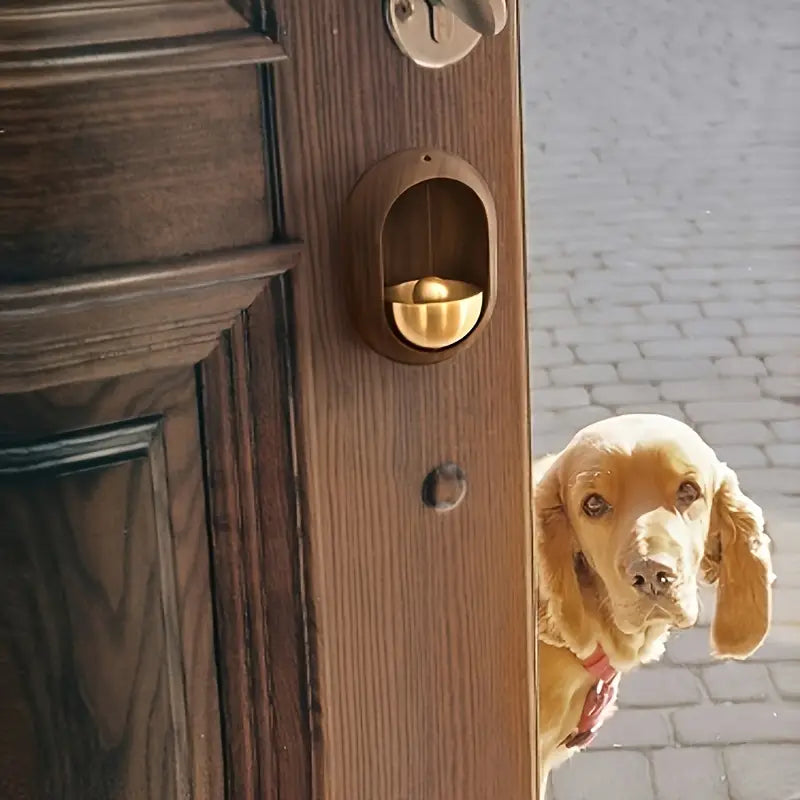 3-inch walnut door bell with brushed brass accents